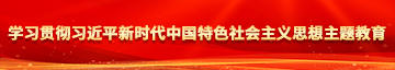 操女人逼逼学习贯彻习近平新时代中国特色社会主义思想主题教育